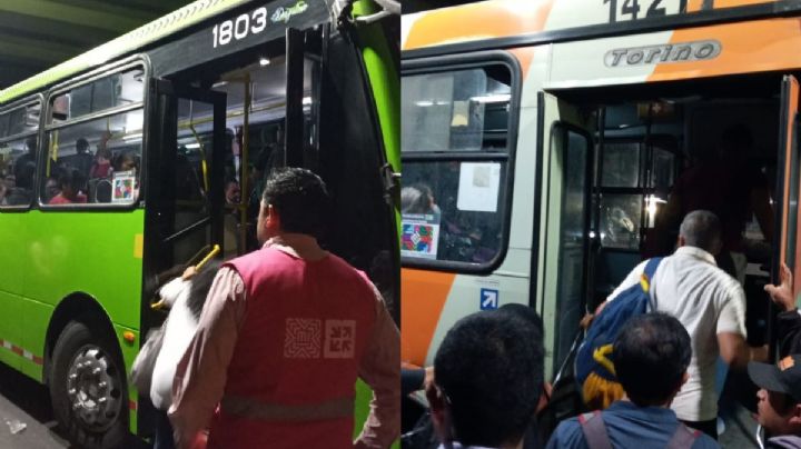 Filas largas por la caída de un árbol en las vías del Tren Ligero