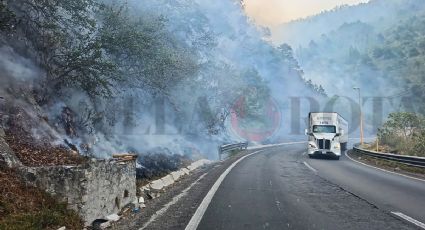Cierran paso en cumbres de Maltrata por incendio forestal