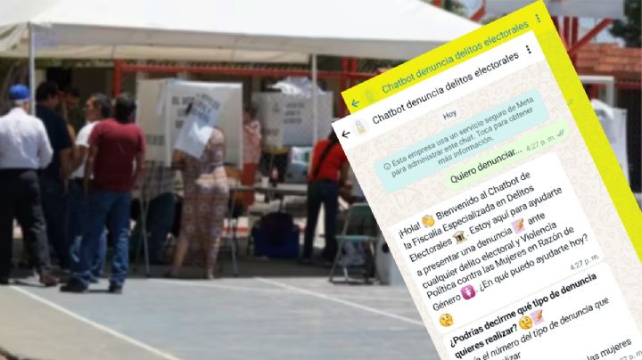 En estas elecciones Hidalgo estrena chatbot en WhatsApp para denunciar delitos electorales