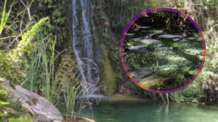 Visita el manantial secreto para nadar entre montañas en este pueblo mágico de Hidalgo