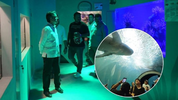 Revelan desaparición de animales en acuario de Veracruz con Cuitláhuac García