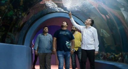 Empresarios y animalista califican a gobierno de Cuitláhuac al frente del Aquarium