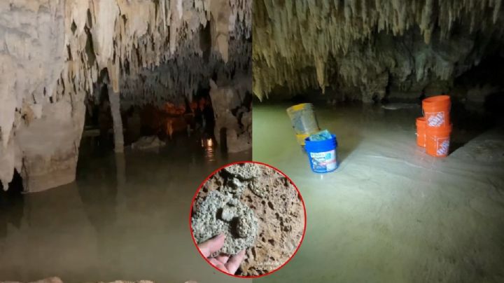 Tren Maya: Sacan cemento de cenotes, pero el agua continúa turbia | VIDEOS