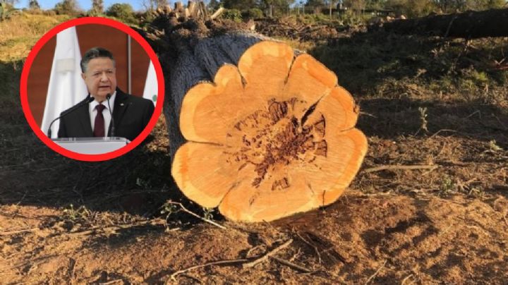 Menchaca asegura que habrá reforestación por obras en la carretera Real del Monte-Huasca