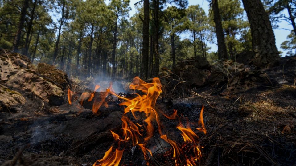 ¿Cuantos incendios forestales permanecen activos en Edomex?