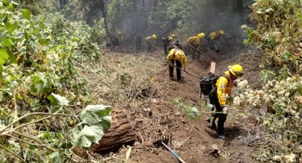 Lleva tres días incendio del Cerro Sagrado en Tenango de Doria; piden donaciones