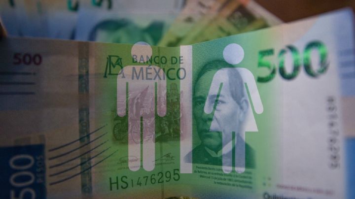 Financiamiento público, igualdad de género y equidad