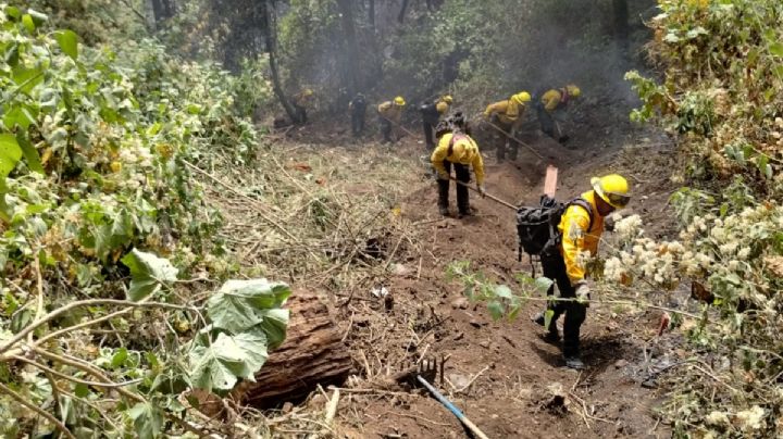 Lleva tres días incendio del Cerro Sagrado en Tenango de Doria; piden donaciones