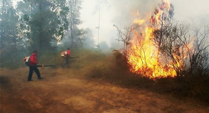 Incendio forestal en Tenango de Doria se encuentran controlado: PC
