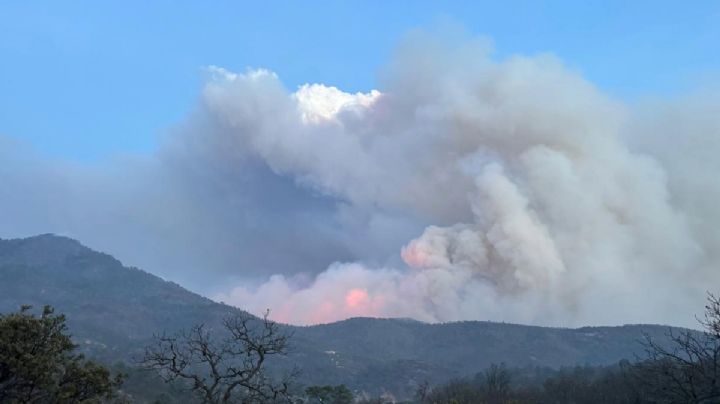 En peligro la Sierra Gorda de Guanajuato por incendio forestal, hogar del águila real