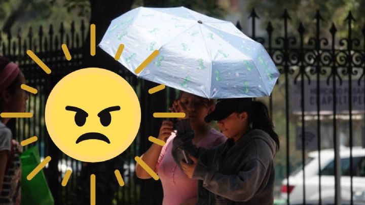 ¿Qué tipo de sombrilla necesitas para cubrirte del sol y del calor?