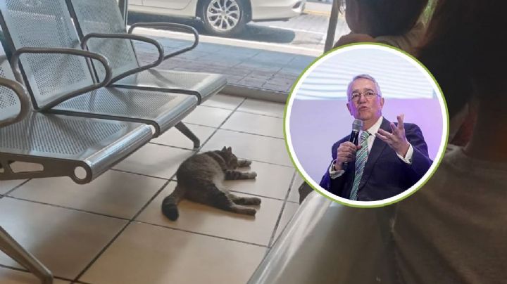 Ricardo Salinas da permiso a michi para que se refresque en Elektra de Veracruz