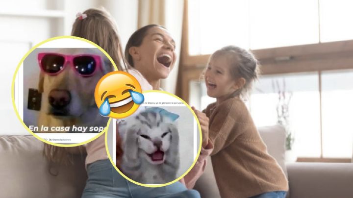 ¿No sabes cómo felicitar a tu mamá? Estos son los mejores memes que puedes enviar el Día de las Madres