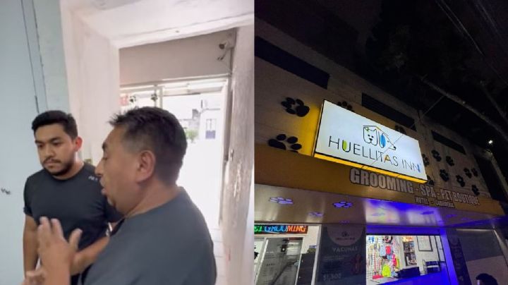 "Lo están tratando de revivir, no reacciona": joven denuncia a guardería por la muerte de su perro