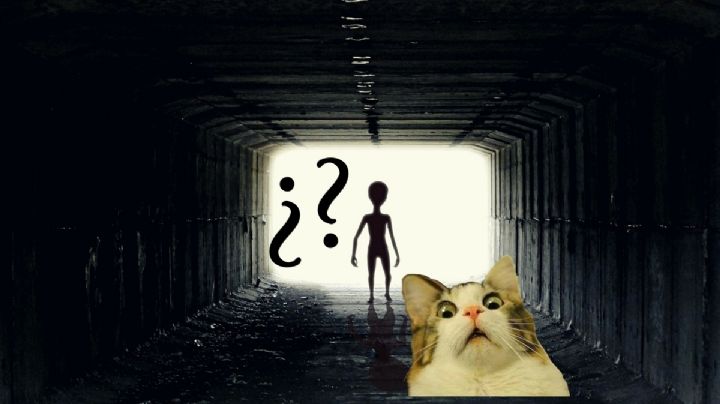 ¿Ovni, criatura extraña o qué Jaime Maussan? Graban aterrador video en carretera de México