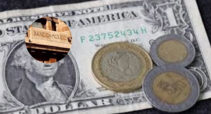 En una situación de emergencia con el tipo de cambio, Banxico podría intervenir