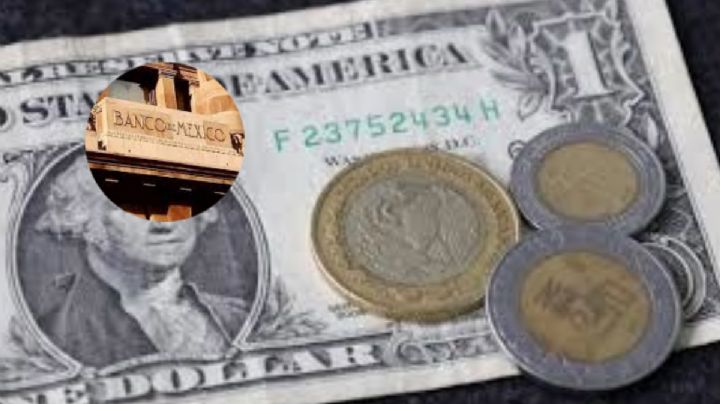 En una situación de emergencia con el tipo de cambio, Banxico podría intervenir