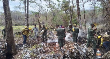 Liquidan incendios forestales al sur de Veracruz después de 3 semanas