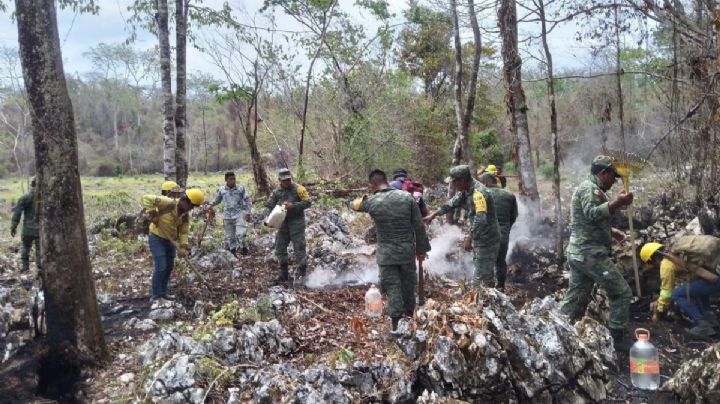 Liquidan incendios forestales al sur de Veracruz después de 3 semanas