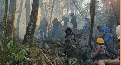 Incendios forestales dañaron más de 3 mil hectáreas en áreas naturales de Hidalgo