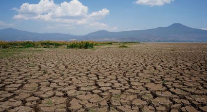 Producción agrícola en México en agonía, 80% sufre sequía