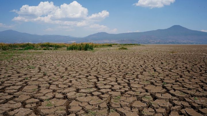 Producción agrícola en México en agonía, 80% sufre sequía