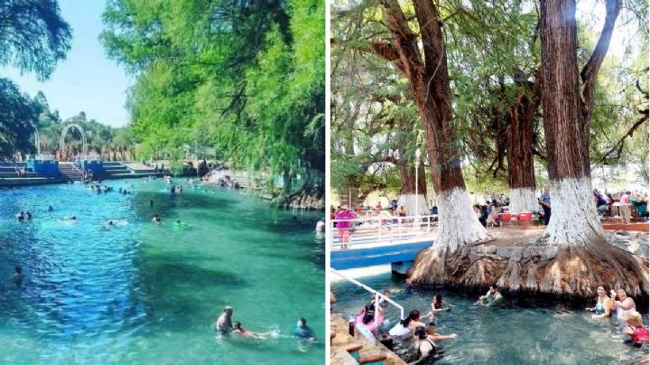 Este es un balneario de Guanajuato con aguas termales y rodeado de ahuehuetes