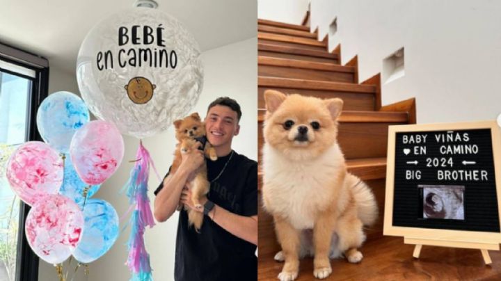 Novia de Viñas aprovecha Día del Padre para anunciar su embarazo