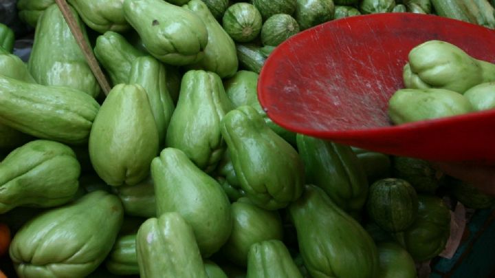 Chayote, ¿el nuevo oro verde? Estas son las razones de su alto precio