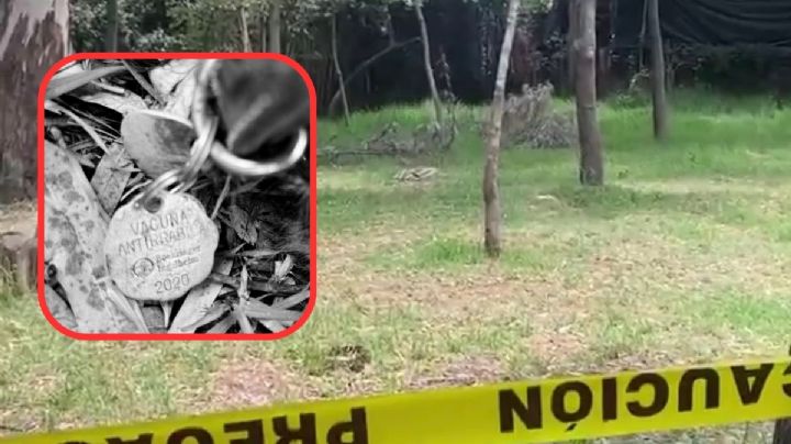 Bosque de Nativitas: Ya suman 25 perros con señales de violencia, ¿qué está pasando?