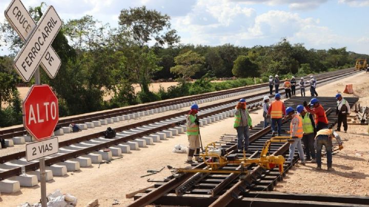 Juez ordena suspensión de obra del Tramo 5 del Tren Maya