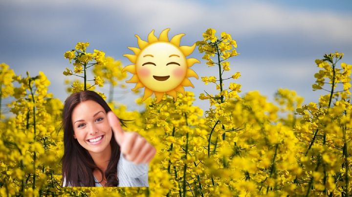 ¿Mito o realidad? Estos son los mejores memes del Yellow Day, el día más feliz del año