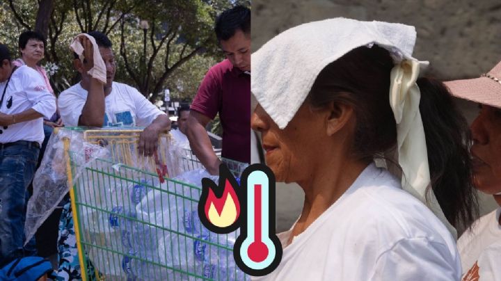 Nuevo "pico" de calor: Así estará el clima en Veracruz este lunes 03 de junio