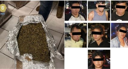 CDMX: Golpe al narcomenudeo decomisan más de 200 kilos de marihuana en Venustiano Carranza