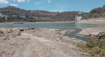 Presa Madín, en riesgo de colapso por contaminación