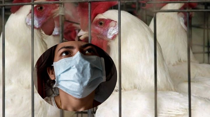 La próxima pandemia