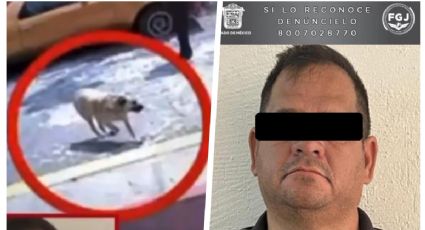 Hombre ataca con machete a la perrita "Zafiro"; lo investigan en Ixtapaluca