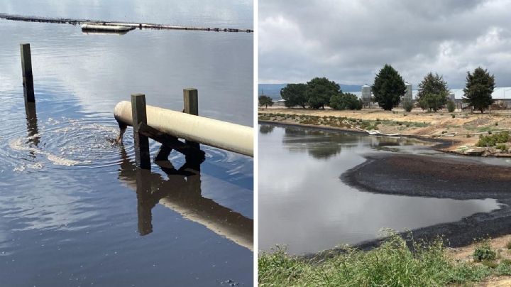 Granjas Carroll pagó multa millonaria por contaminación del suelo