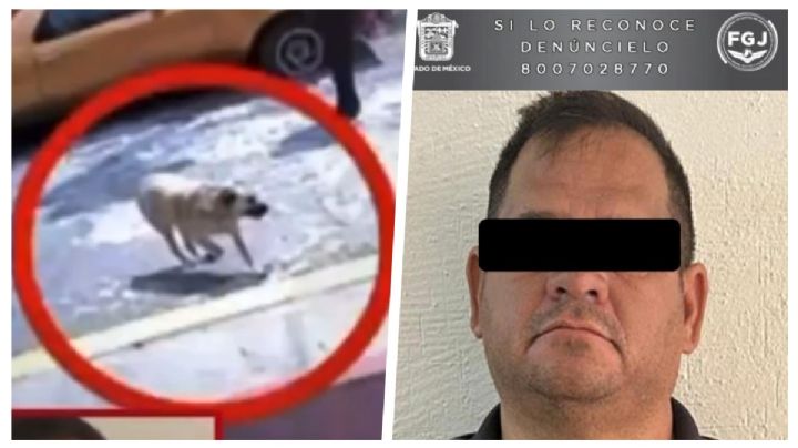 Hombre ataca con machete a la perrita "Zafiro"; lo investigan en Ixtapaluca