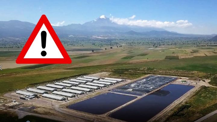 Clausura de planta de Granjas Carroll en Totalco tras asesinato de 2 campesinos; esto se sabe