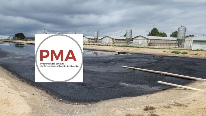 Clausura de Granjas Carroll podría ser permanente; amaga PMA por caso Totalco