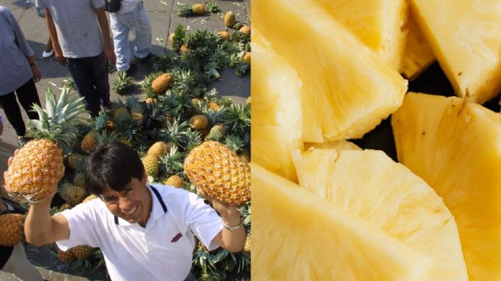 Día internacional de la piña: Veracruz, primer lugar nacional de producción