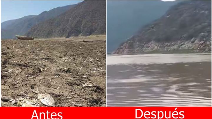 Lluvias comienzan a llenar la laguna de Metztitlán que estaba seca desde 2023; así se ve
