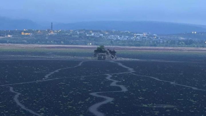 ¿Por qué la tierra se ve negra en el Parque Metropolitano?