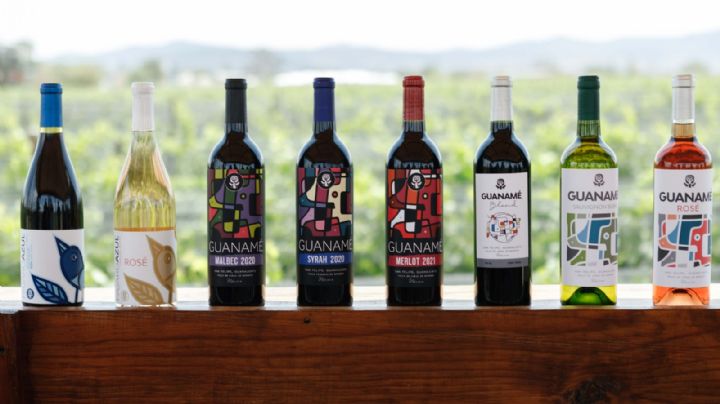 Pájaro Azul: El gran ganador del Concurso Mundial de Bruselas que nació en un rancho lechero