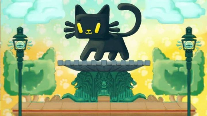 ¿Amante de los michis? ¡Visita la Expo Gatitos este fin de semana!