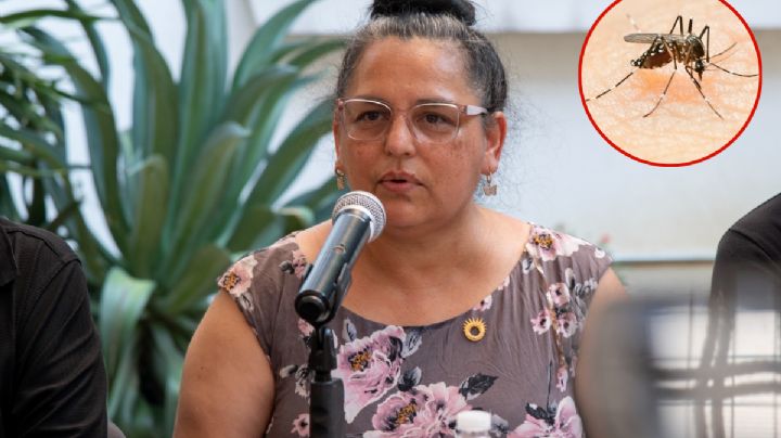 Ayuntamiento de Córdoba adelanta acciones contra el dengue, zika y chikungunya por ola de calor