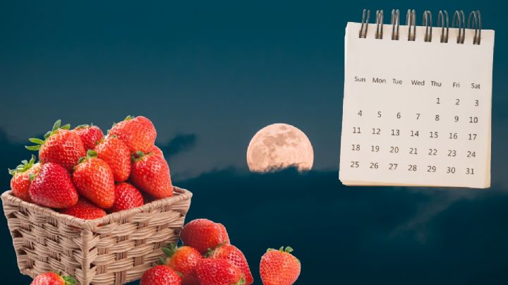 Luna de fresa 2024 ¿Será visible en Hidalgo, cómo y cuándo?