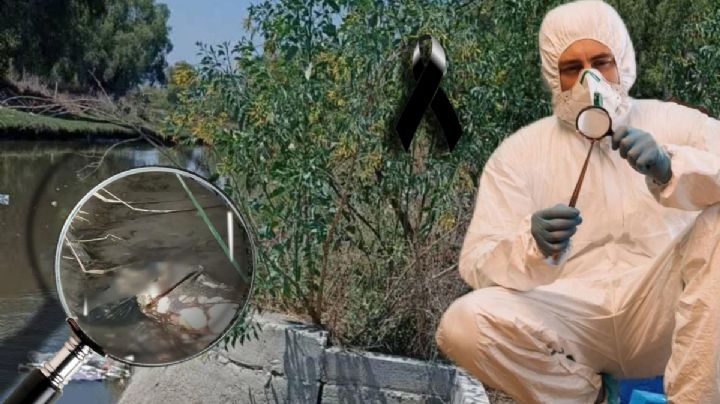 Encuentran posibles partes humanas en una bolsa en este municipio de Hidalgo