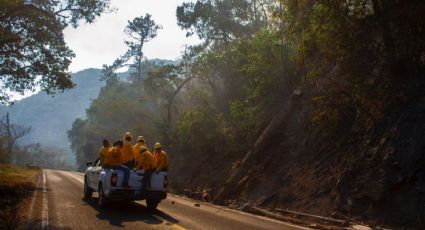 Incendios forestales se reactivan y amenazan con destrucción en estos estados